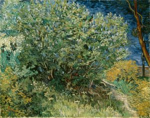 Lilas
