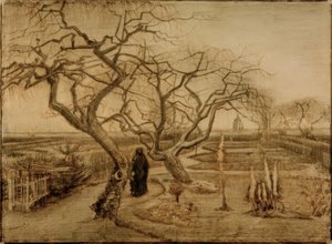 Jardin en hiver