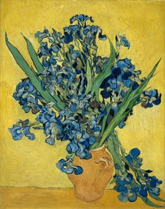 Iris