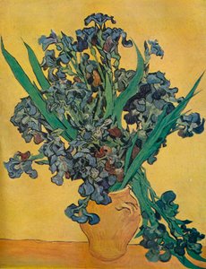 Nature morte : Iris