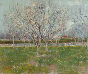 Verger en fleurs (pruniers) - Vincent van Gogh