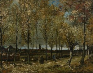 Peupliers à Nuenen