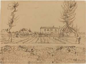 Laboureur dans les champs près d