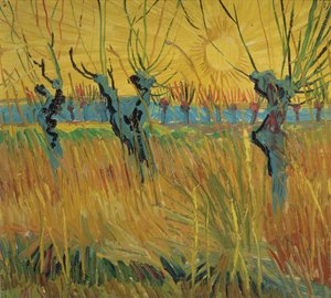 Saules têtards et coucher de soleil