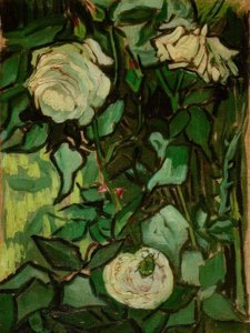 Roses et un scarabée