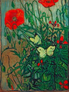 Papillons sur des coquelicots