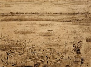 Paysage marécageux avec nénuphars