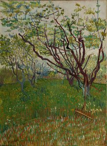Le verger en fleurs