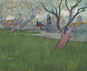 Vergers en fleurs, Arles