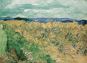 Champ de blé avec bleuets