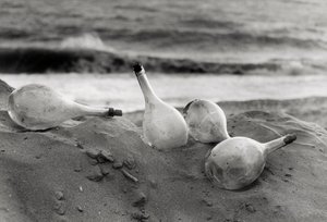 "Des flacons sur la plage - Vincenzo Balocchi