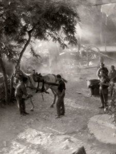 Ferrage des chevaux, Italie - Vincenzo Balocchi