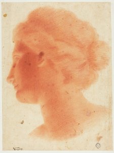 Tête de Vénus de Médicis