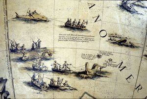 Chasse à la baleine dans le Pacifique. Détail d