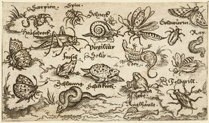 Insectes, reptiles, escargots et poissons sur un sol minimal avec de l
