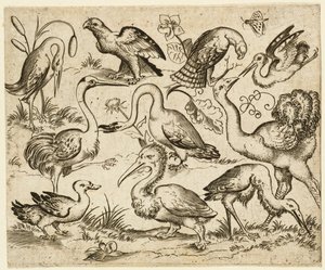 Autruche à gauche avec neuf autres oiseaux, y compris un héron et un pélican