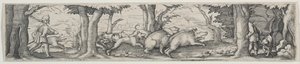 Chasse au Sanglier