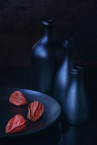  - Vladimir Pavlovskyy