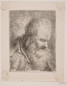 Vieil homme barbu, buste