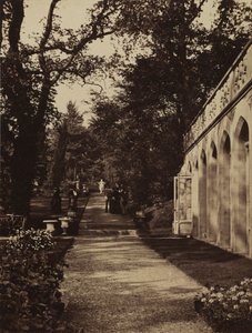 Orangerie et jardin de fleurs à Singleton, Glamorganshire