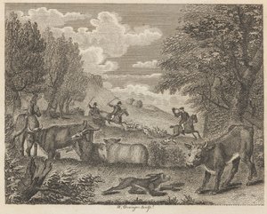 Le lièvre et de nombreux amis
