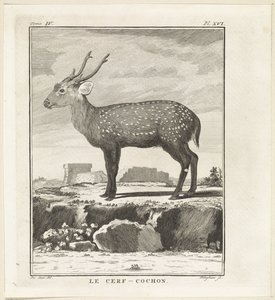 Hert - W. Tringham