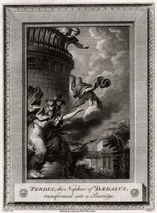 Perdix, le neveu de Dédale, transformé en perdrix, 1774 - W. Walker
