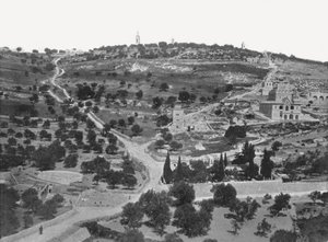 Mont des Oliviers, Jérusalem, Palestine, 1895