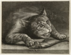Chat avec un poisson - Wallerant Vaillant