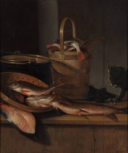 Nature morte avec poisson et chat, vers 1650-1660 - Wallerant Vaillant