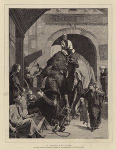 Un chemin étroit, Le Caire
