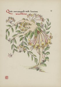 Fleurs du jardin de Shakespeare