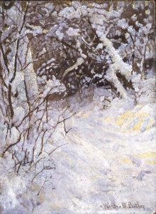Neige