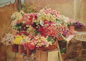 Étal de fleurs au marché de Menton, vers 1910, 1912