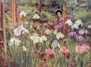Iris de spécimen