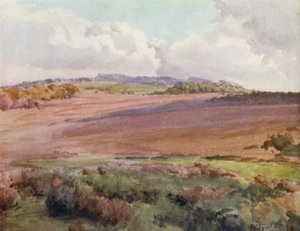 La Nouvelle Forêt : À travers Malwood Walk de la route vers Fritham - Walter Frederick Roofe Tyndale