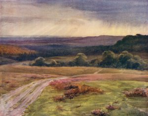 La Nouvelle Forêt : Promenade de Boldrewood, Puck Pitts, depuis la route de Fritham - Walter Frederick Roofe Tyndale