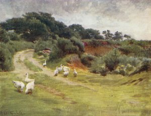 La Nouvelle Forêt : Royden Common, près de Brokenhurst - Walter Frederick Roofe Tyndale