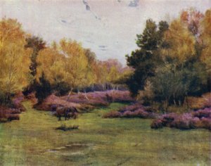 La Nouvelle Forêt : Rushpole Wood, Lyndhurst - Walter Frederick Roofe Tyndale