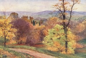 Wessex : Melbury Park