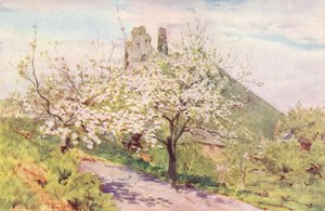 Wessex : Printemps à Wessex - Walter Frederick Roofe Tyndale