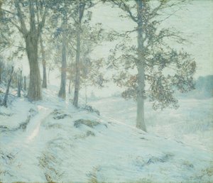 Feuilles de chêne persistantes