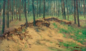 Bois avec carrière de sable
