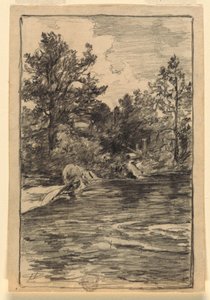 Rivière et arbres