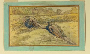 Deux paons dans un paysage