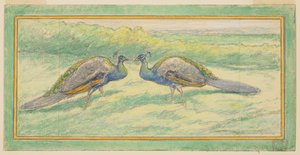 Deux Paons dans un Paysage - Walter Shirlaw