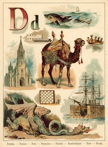 Lettre D - Walter Zweigle
