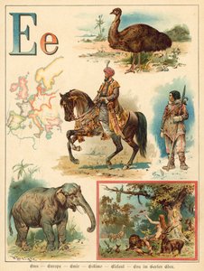 Lettre E (chromolithographie)