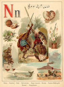 Lettre N