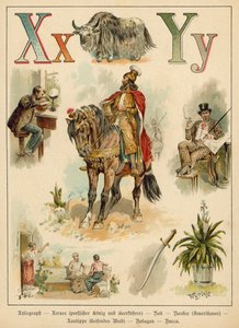 Lettre X et Lettre Y (chromolithographie)